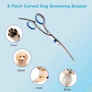 Chuyên Nghiệp Cong An Toàn Thép Không Gỉ <span class=keywords><strong>Pet</strong></span> Chải Chuốt Kéo Cùn Con Chó Tóc Cắt Cắt Tỉa Vẻ Đẹp Nhu CẦU Cuộc Sống Chăm Sóc Instr - Product Image 5