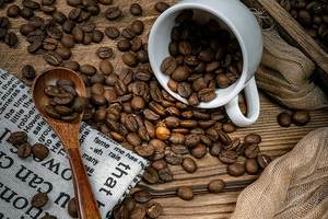 Café Arabica torréfié de spécialité du Vietnam, qualité G1/G2, brut, certifié ISO 22000, 98% de maturité, vente en gros, approvisionnement en vrac - Product Image 2