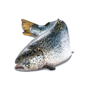 Acheter Saumon Complet 6 7 kg en vrac pour l'exportation et les marchés internationaux - Product Image 5