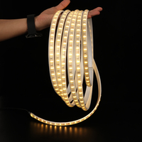 Kit de Bande Lumineuse LED à Double Couleur Alimentée par Énergie Solaire, Éclairage Extérieur Sans Fil, DC12V 2835 1200LEDs 5W 450lm IP65 Dimmable Certifié CE