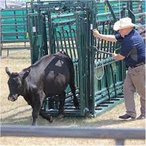 โรงเรือนกระต่ายสำเร็จรูปโครงสร้างเหล็กเป็นมิตรกับสิ่งแวดล้อมอเนกประสงค์ แข็งแรงทนทาน เหมาะสำหรับใช้เป็นโรงงานหรือพื้นที่ทำงานในฟาร์ม - Product Image 3