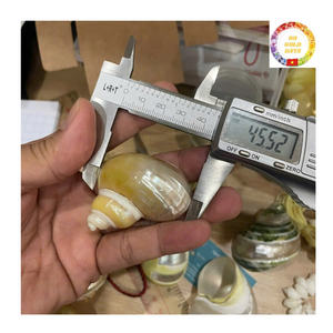 Anneaux de serviette élégants en coquillage, porte-coquillages faits à la main pour mariage et fête, vente en gros de coquillages du Vietnam - Product Image 3