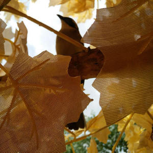 Árvore Ficus Artificial Grande de Fibra de Vidro com Folhas Douradas para Decoração de Ambientes - Product Image 5