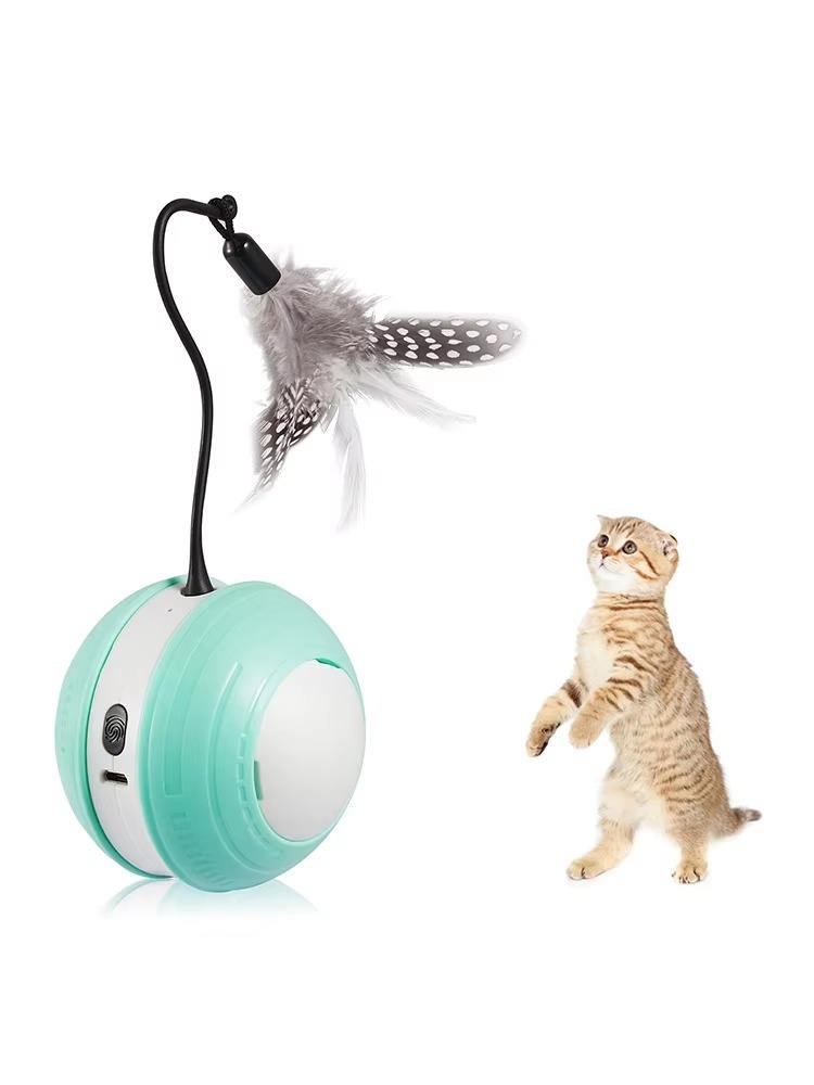 ของเล่นแมว