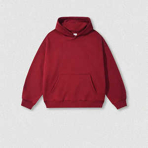Basics 100% Cotton Embroidered Anti-Pilling Fleece Thick Winter Outdoor Wear <b>Waterproof</b> Eco-Friendly Warm Comfortable Hoodie - Product Image 2