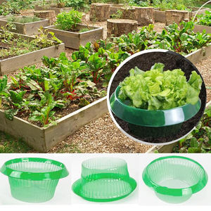 Anneau de protection d'escargot de jardin, collier d'escargot pour salade et chou, répulsif d'<span class=keywords><strong>escargots</strong></span> sans produits chimiques - Product Image 5