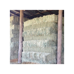 Approvisionnement en gros de foin de Rhodes pour les industries laitière et agroalimentaire - Product Image 5