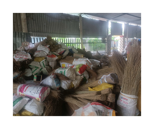 Prix bon marché bâton de balai de noix de coco de l'approvisionnement en vrac du Vietnam-Prix bon marché bâton de balai de paume à vendre à partir de 99 données d'or - Product Image 6