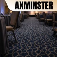 Tapis Axminster en laine de Nouvelle-Zélande, à maillons, pour salle de banquet, salle de bal, salon, tapis mur à mur