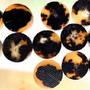 Venta al por mayor de alta calidad BOCINA 4 agujeros botones cuerno natural y botones de hueso real búfalo buey cuerno de vaca botón decorativo para la ropa - Product Image 3