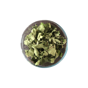 ใบมะละกอแห้งสีเขียวสำหรับดอกไม้และผลไม้ - Product Image 2