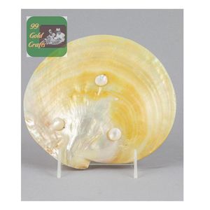 จานเปลือกหอยมุกธรรมชาติทำมือสำหรับตกแต่งร้านอาหารและโรงแรม - Product Image 1