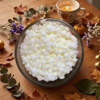 Cire de soja 100% pure et biologique, matière première pour la fabrication de bougies votives parfumées, longue durée de combustion, parfum personnalisé, approvisionnement en vrac 25kg