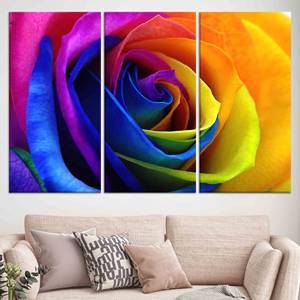 Radiant Floral Canvas <b>Art</b>: <b>Printed</b> Canvas with Elegant Floral Design,SET OF 3 CANVAS - Product Image 1