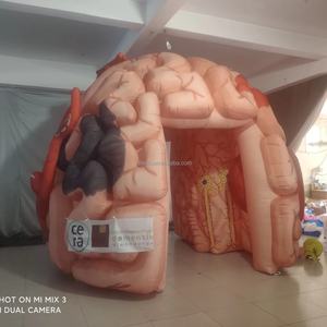 Les événements de soins de santé personnalisés traversent le <span class=keywords><strong>tunnel</strong></span> du cerveau Passage gonflable <span class=keywords><strong>pour</strong></span> l'éducation - Product Image 1