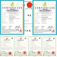 Machine automatique de remplissage et de bouchage de vernis à ongles, haute précision, flacon cosmétique, certifié CE, usine OEM ODM, ligne d'emballage