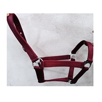 Licol en corde solide et réglable en cuir et corde licol de cheval Durable et saisonnier équipement de cheval personnalisé