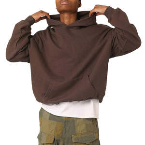 Sweats à capuche en polyester 300 GSM Sweatshirts lourds Prix d'usine Premium Sweatshirts chauds confortables et doux Vente en gros - Product Image 1