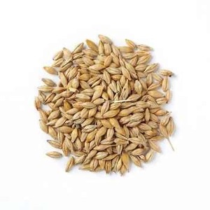 Best Feed <b>Barley</b> Grain / <b>Barley</b> Malt Grain / Hulled <b>Barley</b> Ready - Product Image 1