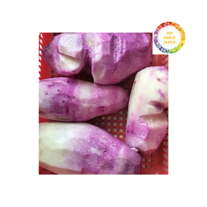 Taro congelado IQF de alta calidad a un gran precio, saludable y conveniente para usos culinarios globales - Product Image 1