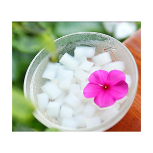 Meilleure vente de Nata De Coco gelée de noix de coco séchée crue au sirop pour dés de gelée et pouding fabriquée au Vietnam - Product Image 3
