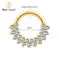 Titane 16G CZ articulé Clicker Segment cerceau anneau Double rangée CZ Daith boucle d'oreille Septem nez Piercing bijoux