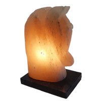 Lampes de sel en forme de cheval Feng Shui exquises de Sian Enterprises, écologiques, sculptées à la main, en matériau organique de l'Himalaya, naturelles