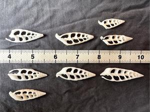 อุปกรณ์เปลือกหอยเกลียวสไตล์ชายฝั่งสำหรับโครงการตกแต่งทำด้วยมือการออกแบบโต๊ะและการใช้งานด้านศิลปะ - Product Image 2