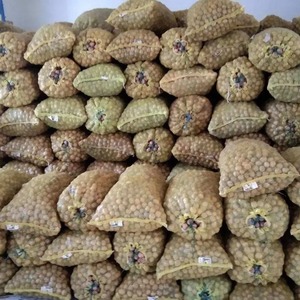 Venta al por mayor de nueces secas crudas orgánicas con cáscara fabricante de cáscara de nuez más barata suministro a granel bocadillo saludable Premium - Product Image 3