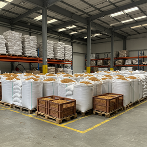 Organic W180 Grade Roasted Cashew <b>Nuts</b> Fresh Salted Snack Processed Dried - Product Image 3