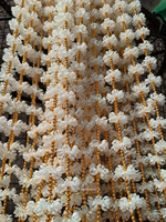 Guirlande traditionnelle de perles dorées de jasmin, artisanale indienne, pour mariage, décoration murale multi-pièces