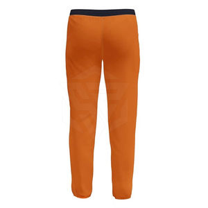 Kit de uniforme de cricket sublimado digitalmente de microfibra de alta calidad, diseño de patrón personalizado, Jersey y pantalón Oem disponible - Product Image 5