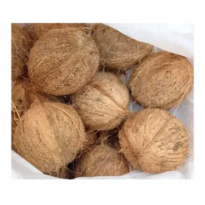 Cocos para venda com casca do Vietnã com o melhor preço para exportação com 100% de alta qualidade a partir de 99 Gold Data no Vietnã