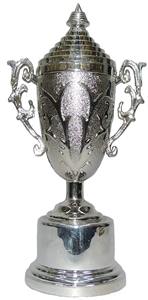 Trophée de récompense en métal argenté élégant pour conférence d'affaires et événement d'entreprise - Product Image 2