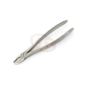Jeu de forceps dentaires personnalisés pour l'extraction chirurgicale et clinique des dents - Product Image 5