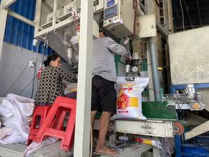 ข้าวหอมมะลิปลูกธรรมชาติ บรรจุถุง 5 กก. บรรจุภัณฑ์ตามสั่ง อายุการเก็บรักษา 24 เดือน-ผู้จัดจำหน่ายการเกษตรเวียดนาม-ติดต่อคุณ - Product Image 3