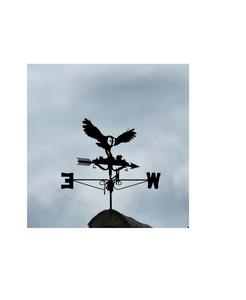 Girouette décorative en fer avec motif animal complexe idéal pour les granges sur les toits et la décoration de jardin de style vintage - Product Image 1