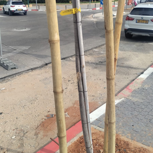 Bán buôn thân thiện với môi bền vườn Stakes tre linh hoạt nguyên liệu sản phẩm - Product Image 6