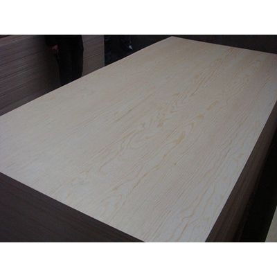 Laminated birch plywood furniture grade birch commercial plywood birch plywood 3mm