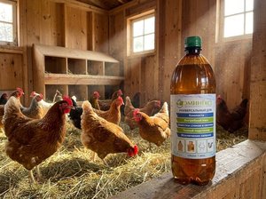 Eminext Fertilizante Biológico Activador de Compost Líquido Remedia el Suelo Liberación Rápida Uso Universal 1L - Product Image 6