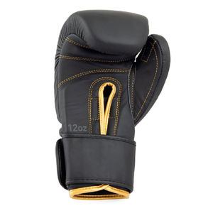 SIBRIN 2025 Professional Boxing Gloves Custom PU Leather with Stylish Multicolor Customized Logo <b>Punching</b> Gloves for <b>Men</b> & Women - Product Image 2