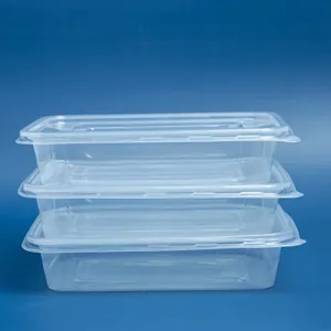 Nhà cung cấp rõ ràng Nắp takeout container dùng một lần Takeaway ăn trưa hộp đựng thức ăn hộp nhựa hình chữ nhật với nắp