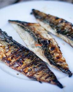 具有营养价值的太平洋鲭鱼进口商有益健康-阿里巴巴