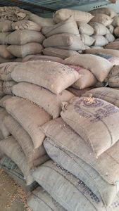Suministro de Empresa: Maíz Amarillo Seco Barato, Grano No Glutinoso, Maíz Maduro para Alimentación Animal, Venta al por Mayor a Granel - Product Image 5