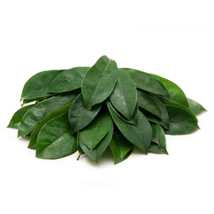 FEUILLES DE SOURSOP SÉCHÉES NATURELLES POUR LE THÉ-APPROVISIONNEMENT DIRECT DU VIETNAM - Product Image 2