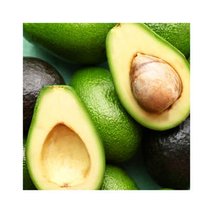 natural and premium quality <b>fresh</b> mexican <b>avocado</b> <b>Fresh</b> Fruit Hass <b>Avocados</b> for sale <b>Fresh</b> organic Mexican <b>avocado</b> suppliers - Product Image 1