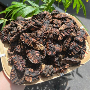 Fruits de noni séchés de qualité supérieure, entiers et coupés en deux, pour l'exportation au prix le plus bas - Product Image 3