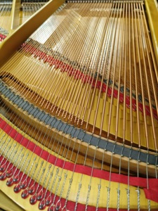 Kawai no.350 Grand Piano 88 Keys <b>Weighted</b> Solid Wood <b>Keyboard</b> Classic Style Professional Floor Mount no350 - Product Image 5