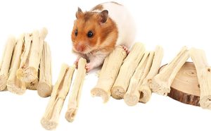 Palo de caña de azúcar seco para juguetes para mascotas, producto Natural, palo de caña de azúcar, juguete masticable para roedores, palo de caña de azúcar dulce - Product Image 6