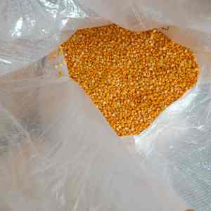 Venta al por mayor a granel indio Chana Dal pulido para cocinar procesamiento de alimentos aplicaciones culinarias exportación - Product Image 2